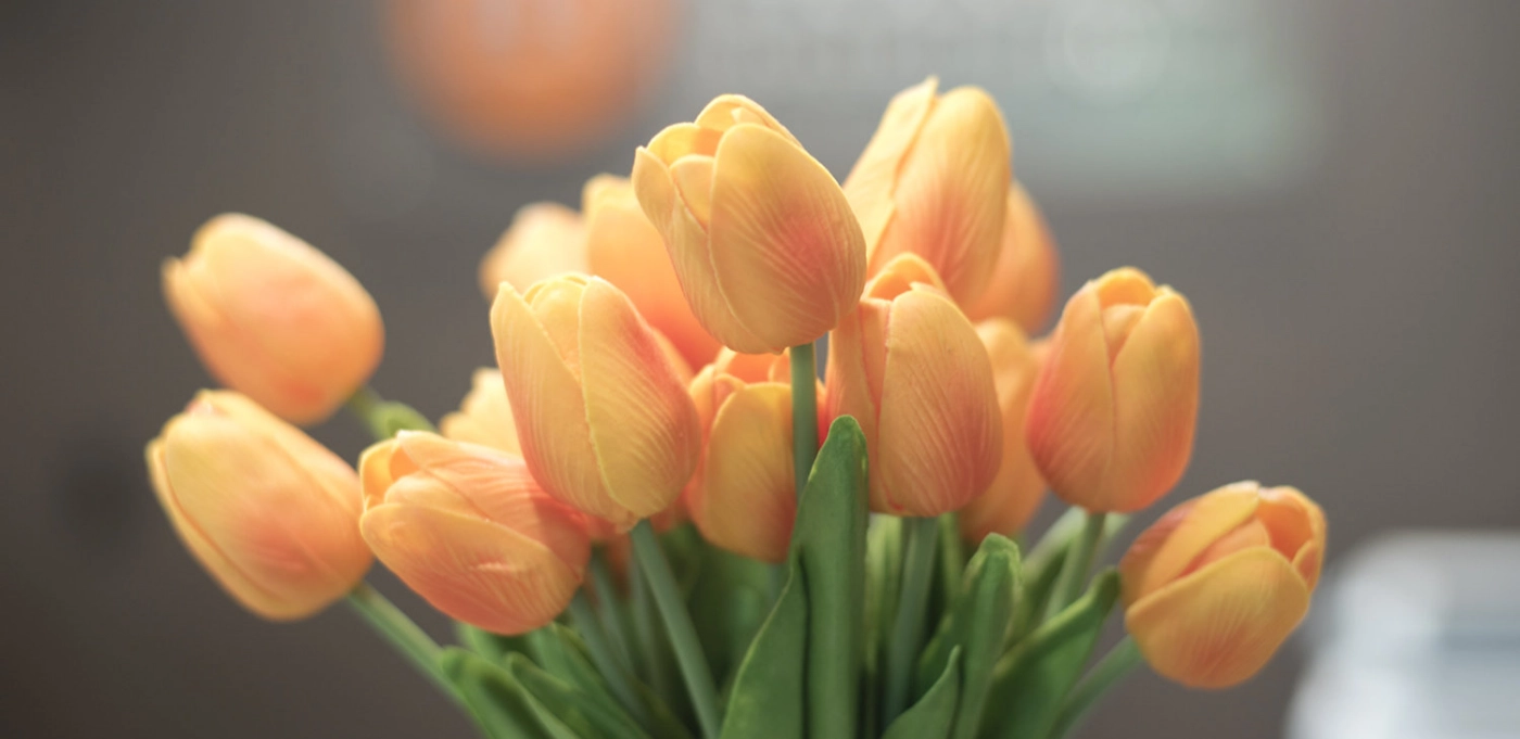 Bouquet of orange tulips