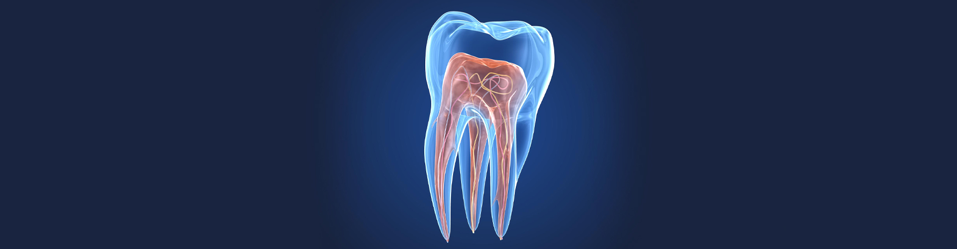 What is an Endodontist